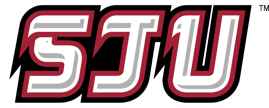 St. Joseph's Hawks 2002-2007 Secondary Logo v2 iron on transfers for clothing